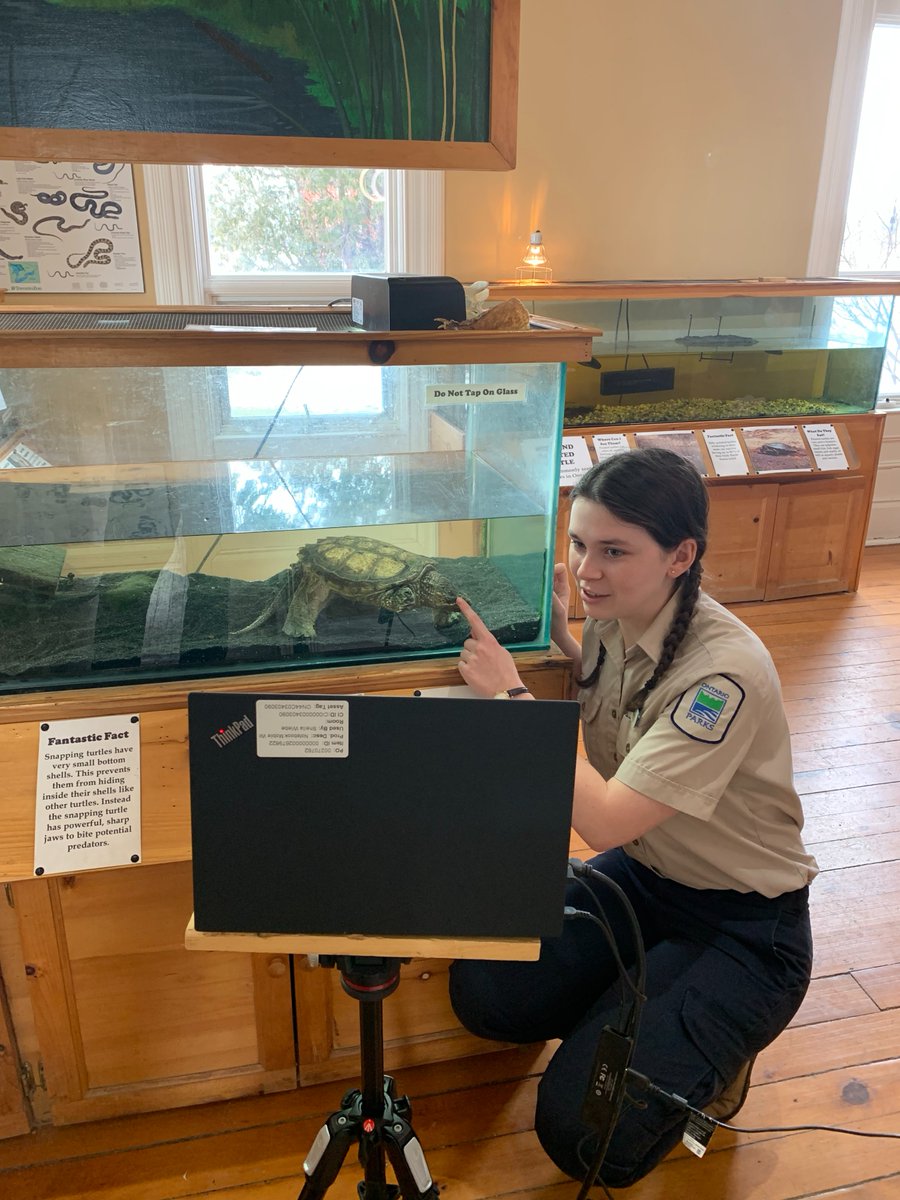 Calling all #teachers! 👨‍🏫🍎 
  
We have a variety of free curriculum-linked virtual programs for your students: bit.ly/3wuGyEq
  
Topics include dark skies, species at risk, invasive species, the Great Lakes, and more! 
  
#InternationalDayofEducation #EdChat