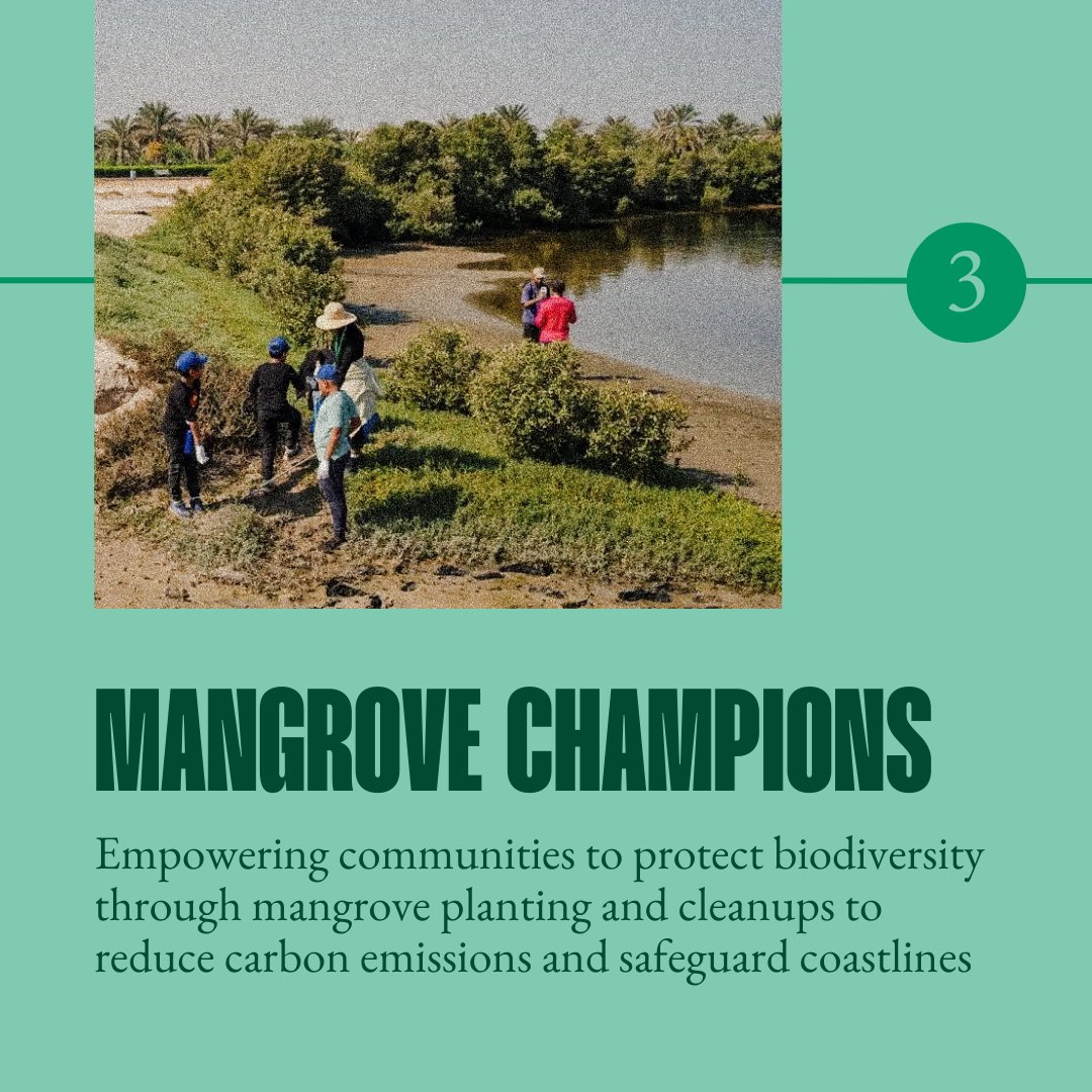 UAE/Climate tweet media