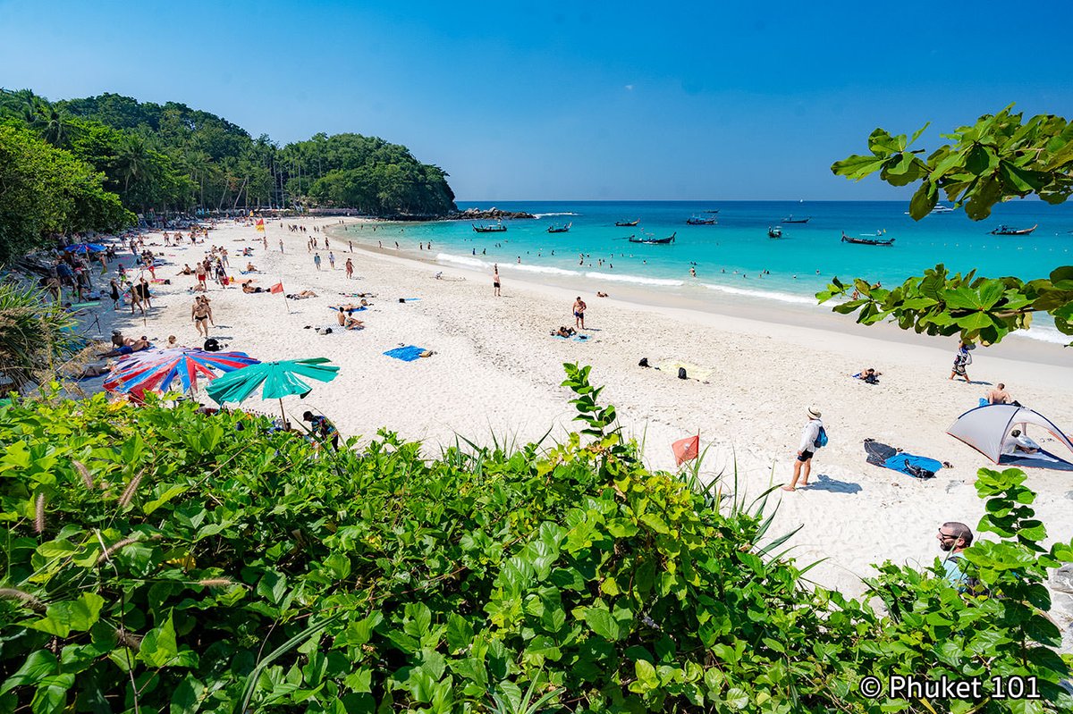 Phuket 101 tweet media