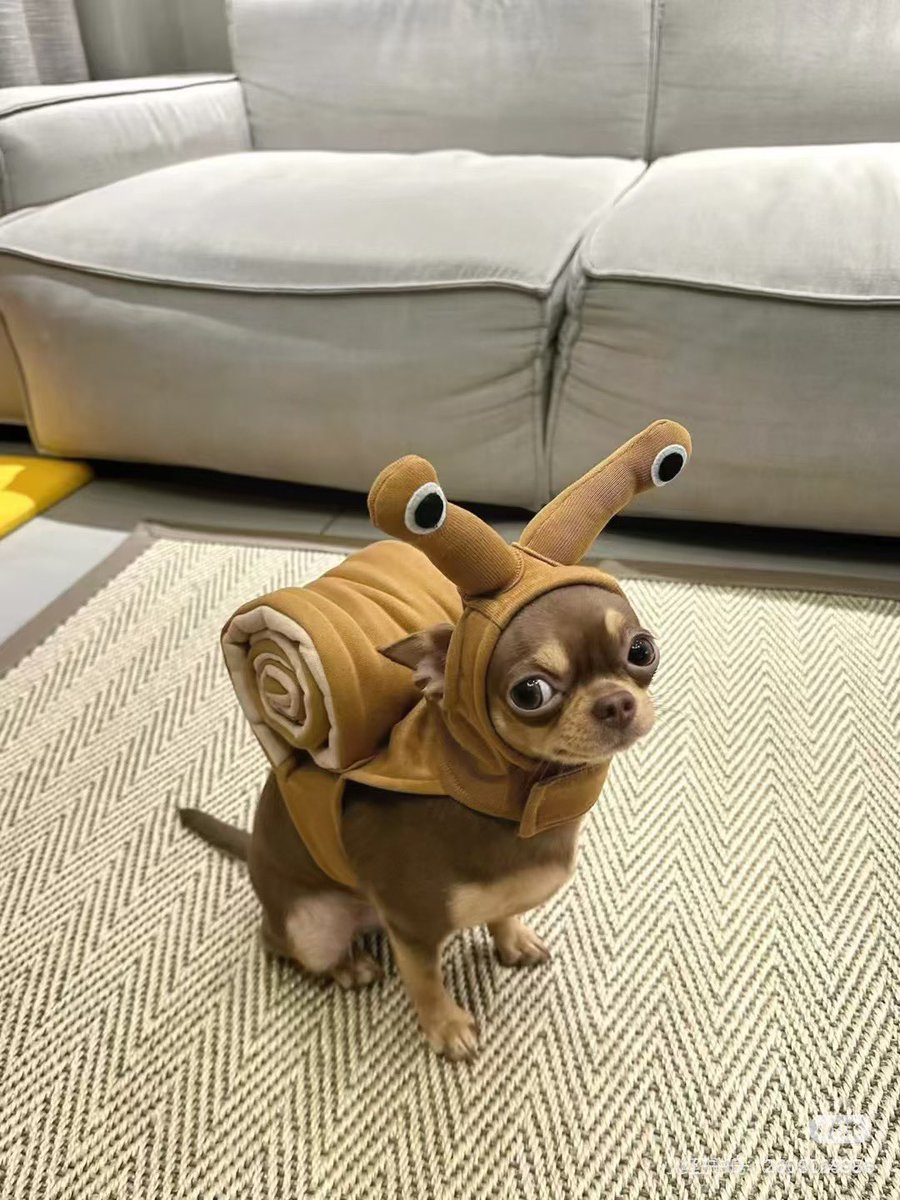 twaniimals's tweet photo. https://t.co/Gyp8bYIeJT