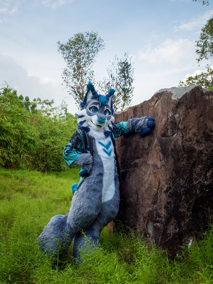 Oh, this big beautiful old rock? The pioneers used to ride these babies for miles!   
#FursuitFriday 
📸<a href="/PoseidonCourt/">panic 🗡️</a>
🧵🪡 <a href="/jesdenart/">Jesdenart ★</a>