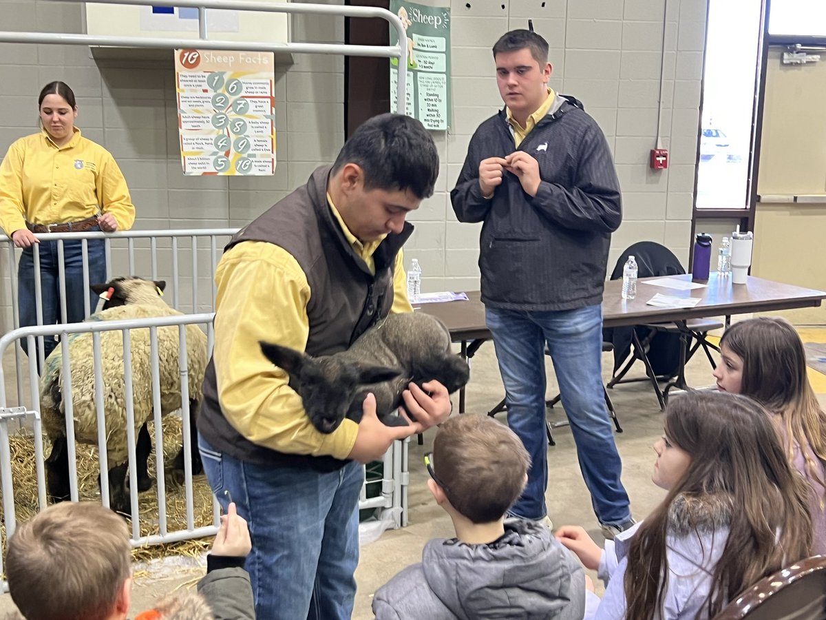GardenCityHSFFA's tweet photo. Yes, we are out of school again, but this time, my students are the teachers! We are with Finney County @KSFarmBureau and their annual Friends on the Farm. A huge thanks to @sheep_shower for bringing in his momma and her lambs! #GCBuffs #LivingToServe https://t.co/Gdb0WpW1xG