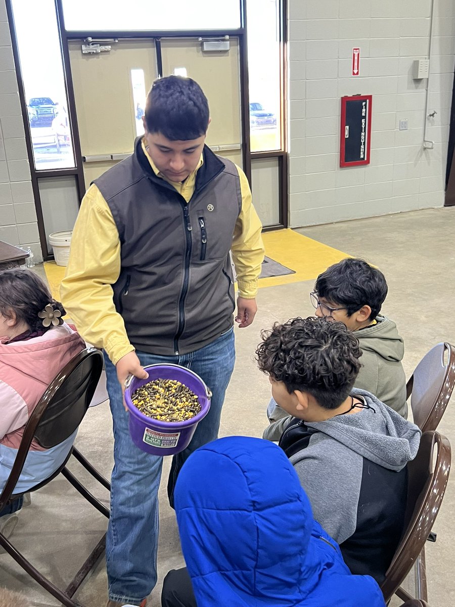 GardenCityHSFFA's tweet photo. Yes, we are out of school again, but this time, my students are the teachers! We are with Finney County @KSFarmBureau and their annual Friends on the Farm. A huge thanks to @sheep_shower for bringing in his momma and her lambs! #GCBuffs #LivingToServe https://t.co/Gdb0WpW1xG