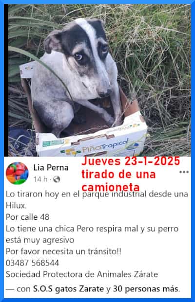 patripeyrou's tweet photo. Rt
Difundimos https://t.co/nNcRAwaRAD
