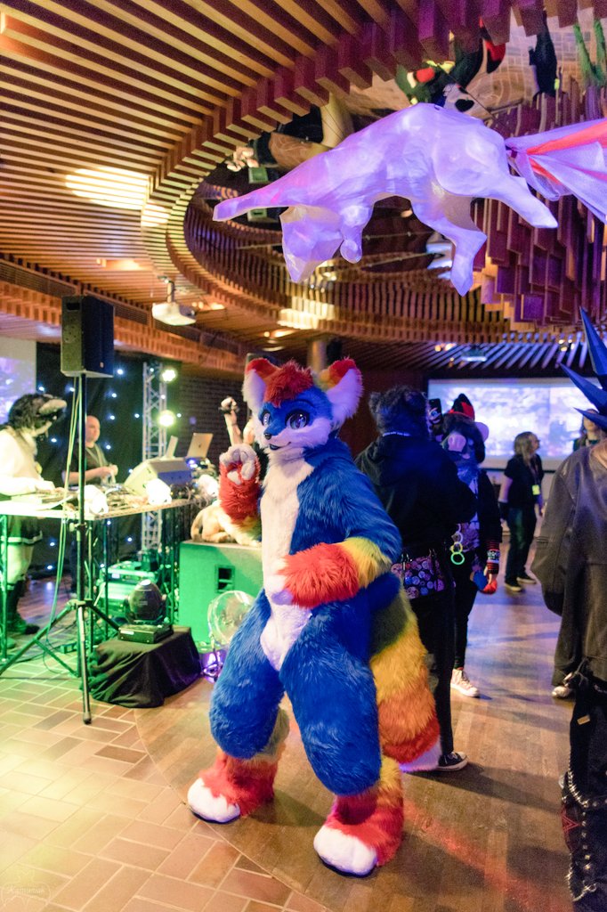 Tinka the Rainbow Fox (@tinkafur) on Twitter photo Rare rainbow fox caught on the dance floor by <a href="/KamuBat/">Kamuniak π¦</a> π¦πΈ
#FursuitFriday ππ¦ Rare rainbow fox caught on the dance floor by <a href="/KamuBat/">Kamuniak π¦</a> π¦πΈ
#FursuitFriday ππ¦