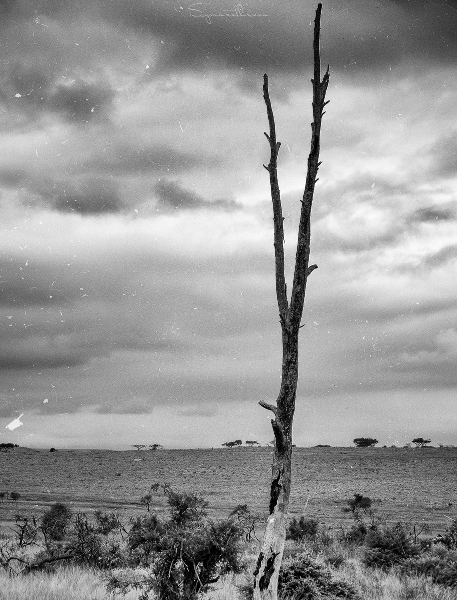 🍃

"Solitude is not a void; it is a vast space where the soul finds its roots."

🍃