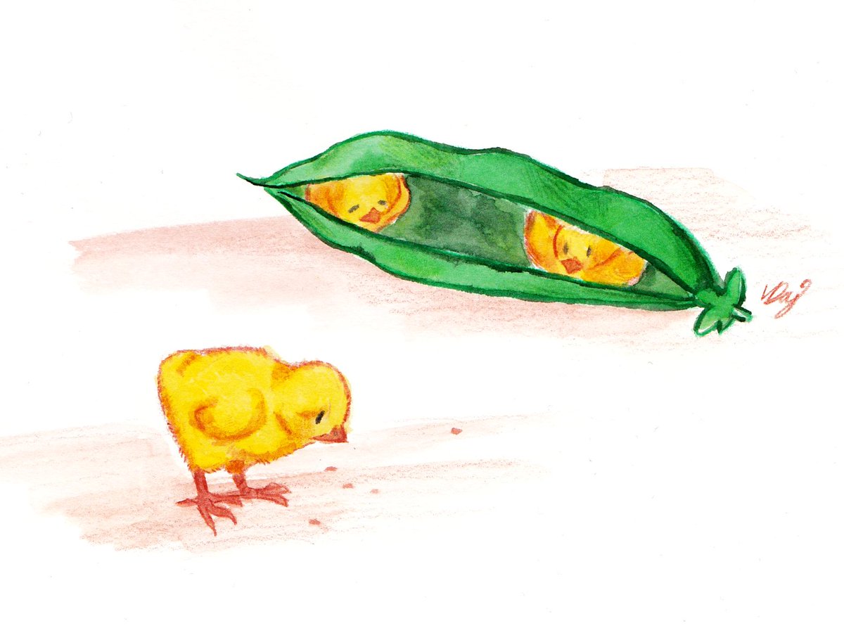 foxing_around's tweet photo. Chick Peas https://t.co/DRlsET9k42
