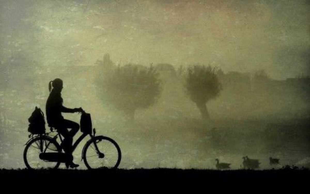 laura franch tweet media
