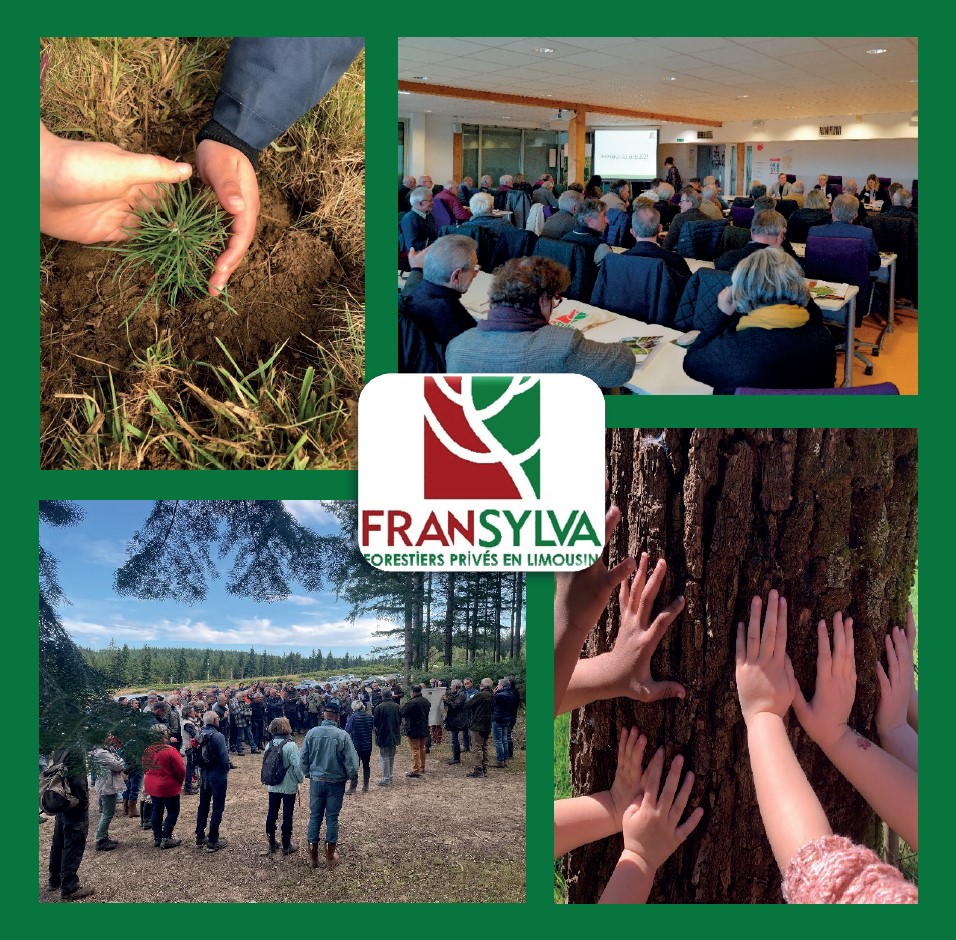 Jean-Patrick Puygrenier et l’ensemble du Conseil d’Administration de <a href="/FransylvaLim/">Fransylva  Limousin</a>  vous adressent leurs meilleurs vœux pour 2025.