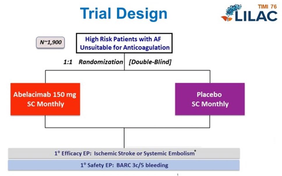 SidPatelMD's tweet photo. These results set the stage for further studies examining the efficacy of abelacimab for prevention of thromboembolism 🧠 in AF, which is being evaluated in the ongoing LILAC-TIMI 76 study https://t.co/Lfn7KeKRLq