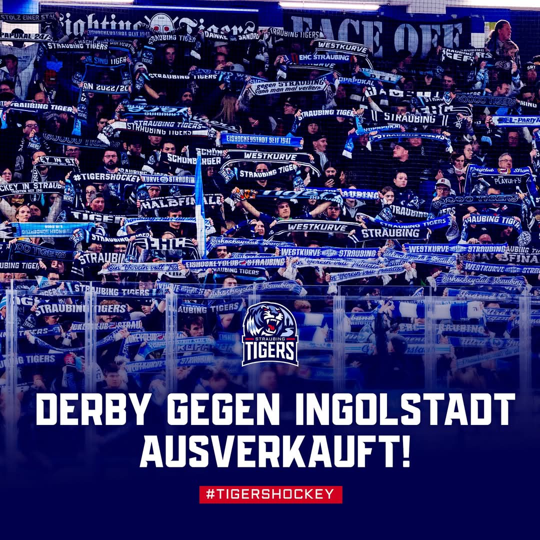 srtigersfans's tweet photo. 5️⃣6️⃣3️⃣5️⃣ Zuschauer - #STRvsING ist ausverkauft! 👐

#tigershockey https://t.co/PO9jRYCe0r