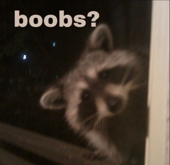 BASjorok's tweet image. 