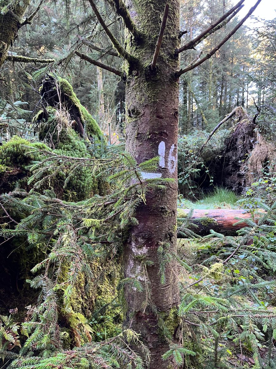 Grace Jones tweet media