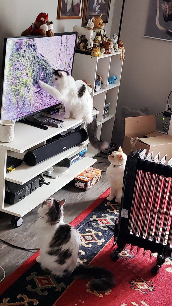 IckySnoot's tweet photo. Theyre all so simple https://t.co/mk8DJYGfLN