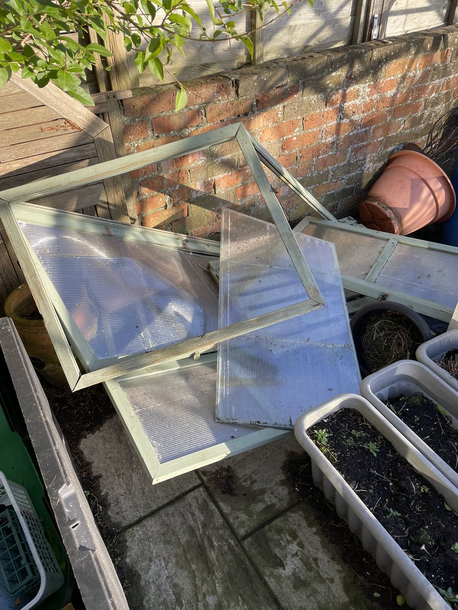 derekb67's tweet image. It looks like I may need a new cold frame, Éowyn has taken care of this one.  I was for moving it to the allotment, it could go in pieces and try putting it back together there. #storméowyn #eowyn #coldframe #allotment