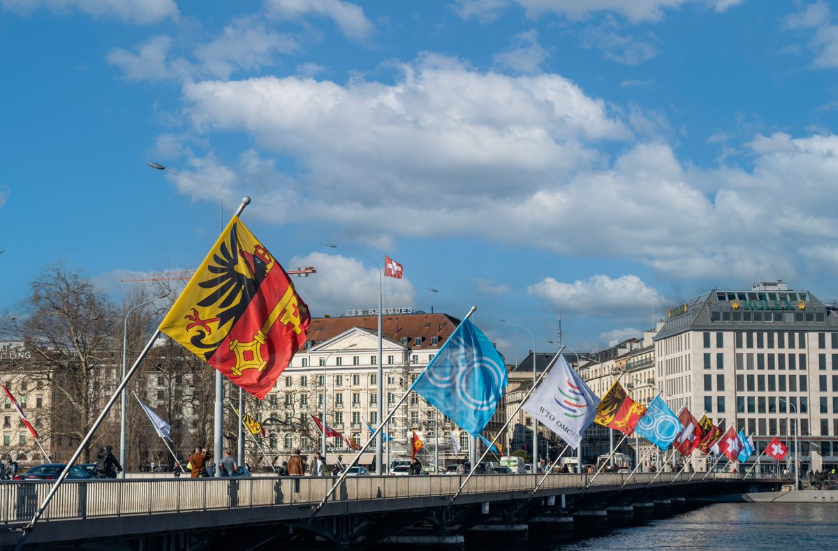 wto's tweet photo. Geneva is celebrating the WTO's 30th anniversary with flags on its landmark Pont du Mont-Blanc. A series of special #WTOat30 events is in the works—stay tuned for more celebrations! 🔗 https://t.co/pjzOJrlHZB https://t.co/gJCmfoXU3T