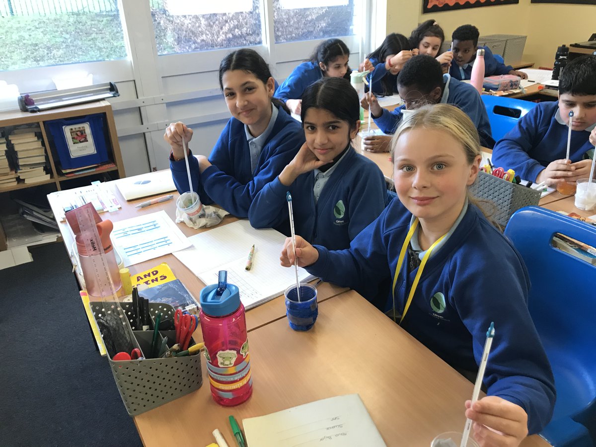 Grove Primary School tweet media