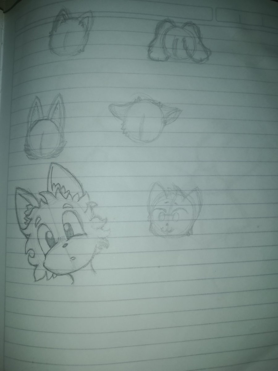 Son mis humildes intentos de dibujar furry
#furries