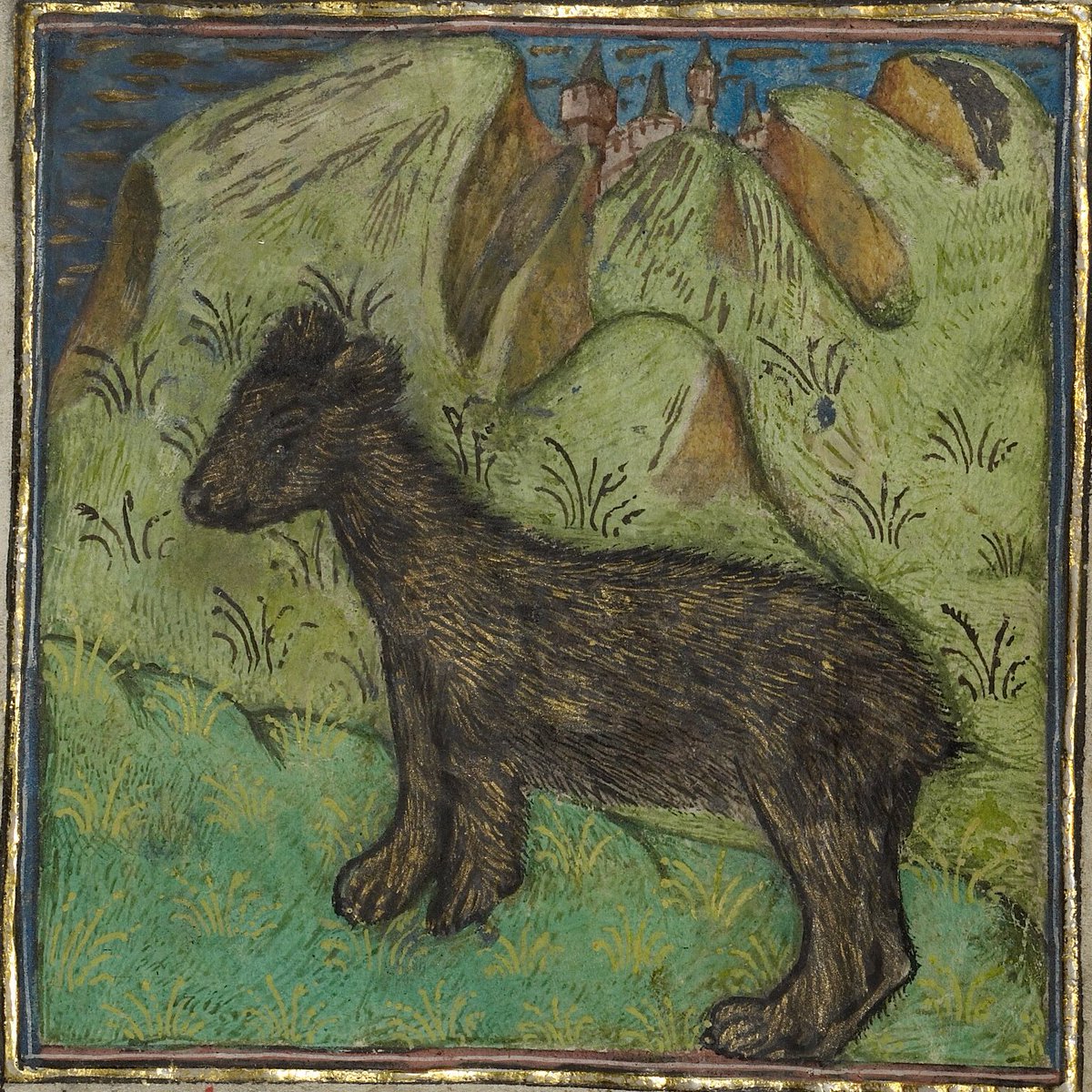 Ursus, -i
—a bear
 —a dangerous person

IDIOM: "to excite the fuming nose of a live bear" ("fumantem nasum vivi tentaveris ursi")—that is, to provoke a dangerous person. 

(See Martial, 6.64.28)