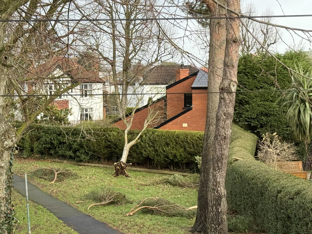 Michael Hills tweet media