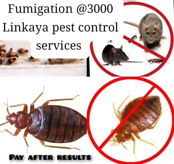 Linkaya Cleaning services tweet media