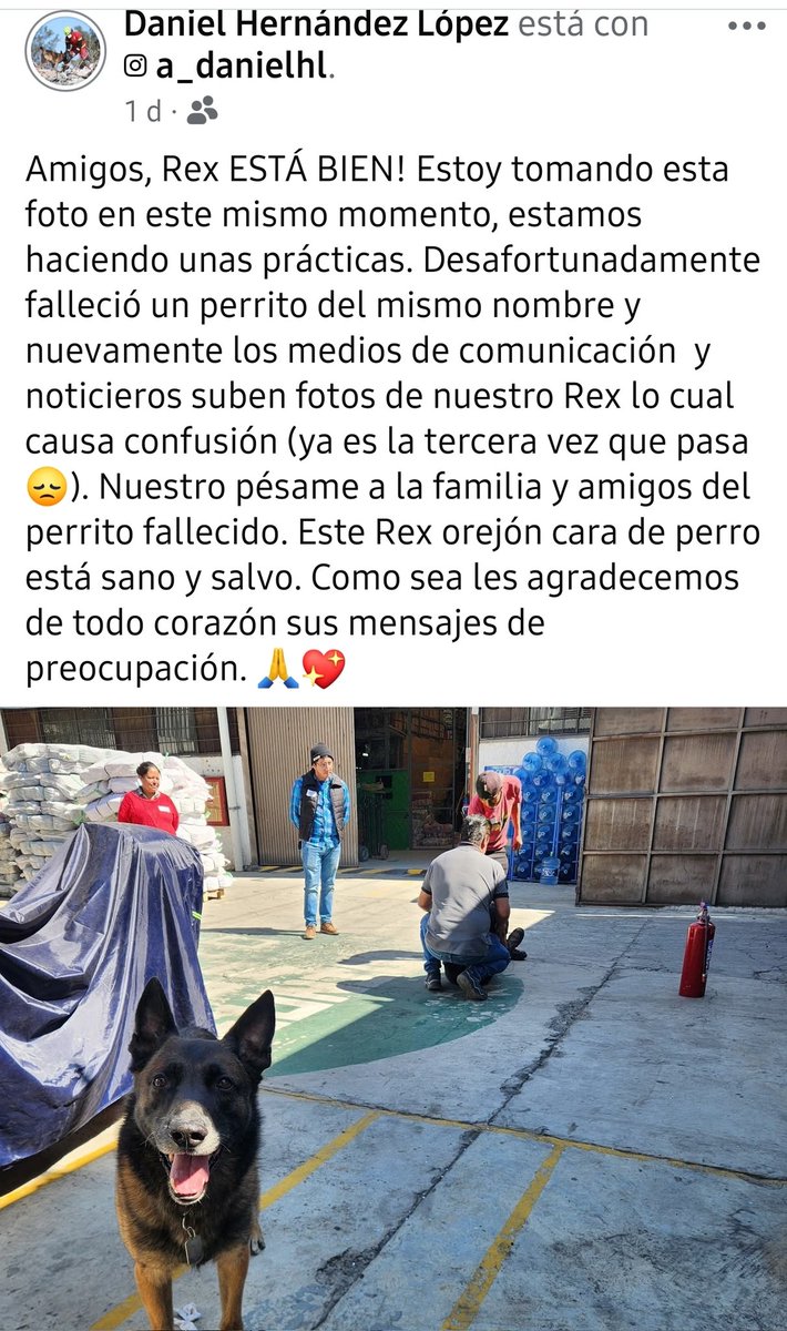 BettoCasttillo's tweet photo. @LymphNK https://t.co/lUxVcMUNwo