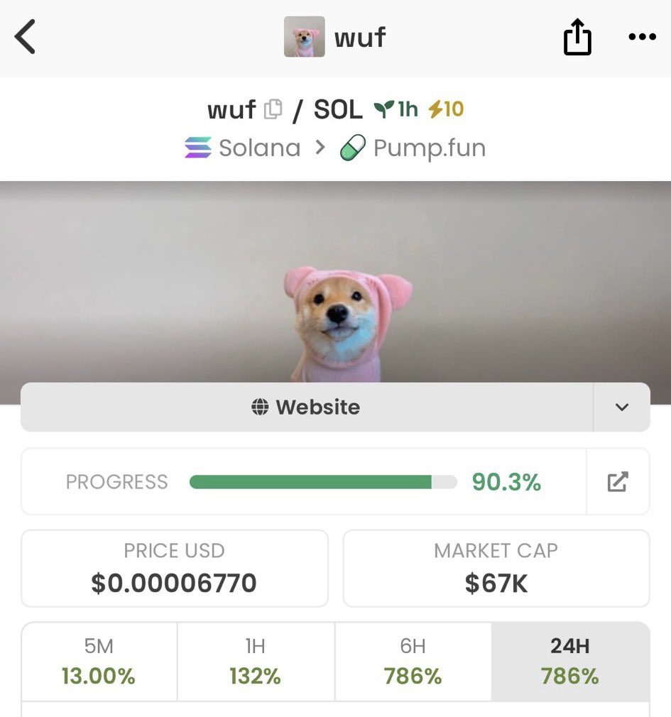 Sr Peters tweet media