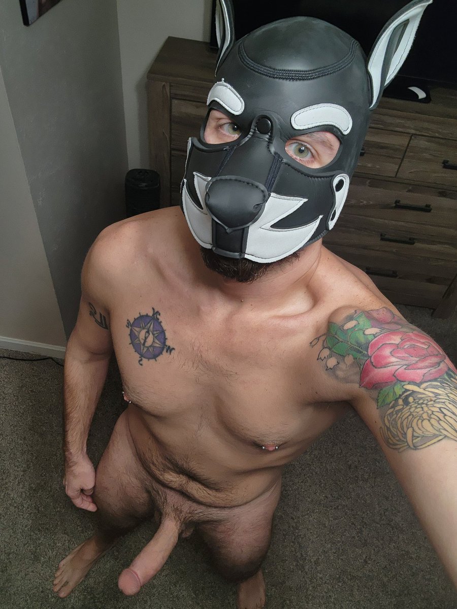 pup Bandit🔜Lostlands🦖🦕 tweet media