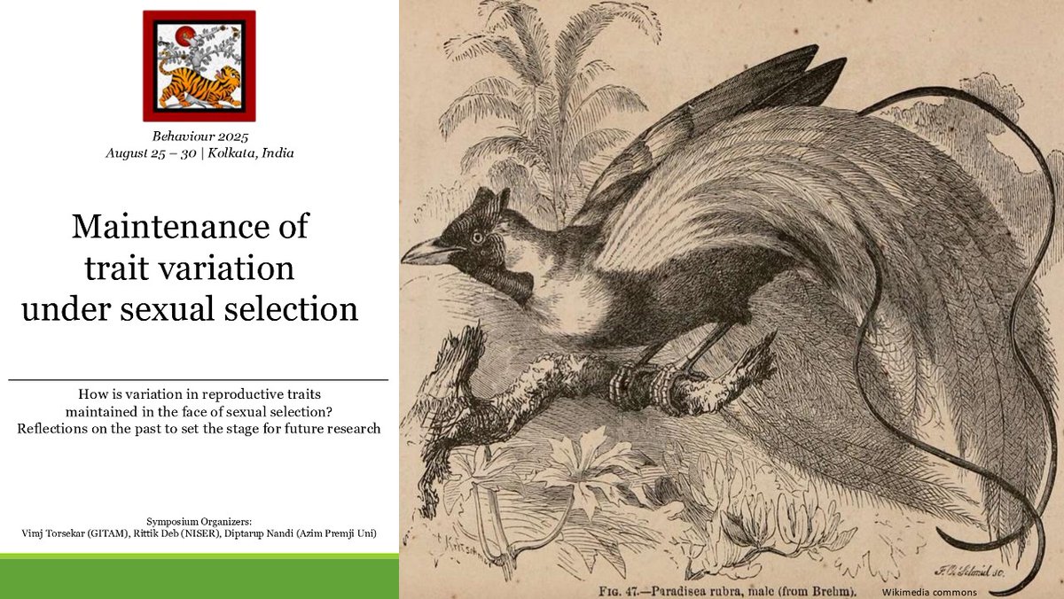 Rittik Deb (@raxitdaves) on Twitter photo Symposium alert! Do join us at <a href="/Behaviour2025/">Behaviour 2025</a> If you are interested DM or mail us. You can also mention your interest while submitting your abstract for the conference. Please check the conference website for deadlines. Organizers <a href="/diptarupNandi/">Diptarup Nandi</a> <a href="/Torsay/">Viraj Torsekar | विराज तोरसेकर</a> <a href="/raxitdaves/">Rittik Deb</a> Symposium alert! Do join us at <a href="/Behaviour2025/">Behaviour 2025</a> If you are interested DM or mail us. You can also mention your interest while submitting your abstract for the conference. Please check the conference website for deadlines. Organizers <a href="/diptarupNandi/">Diptarup Nandi</a> <a href="/Torsay/">Viraj Torsekar | विराज तोरसेकर</a> <a href="/raxitdaves/">Rittik Deb</a>