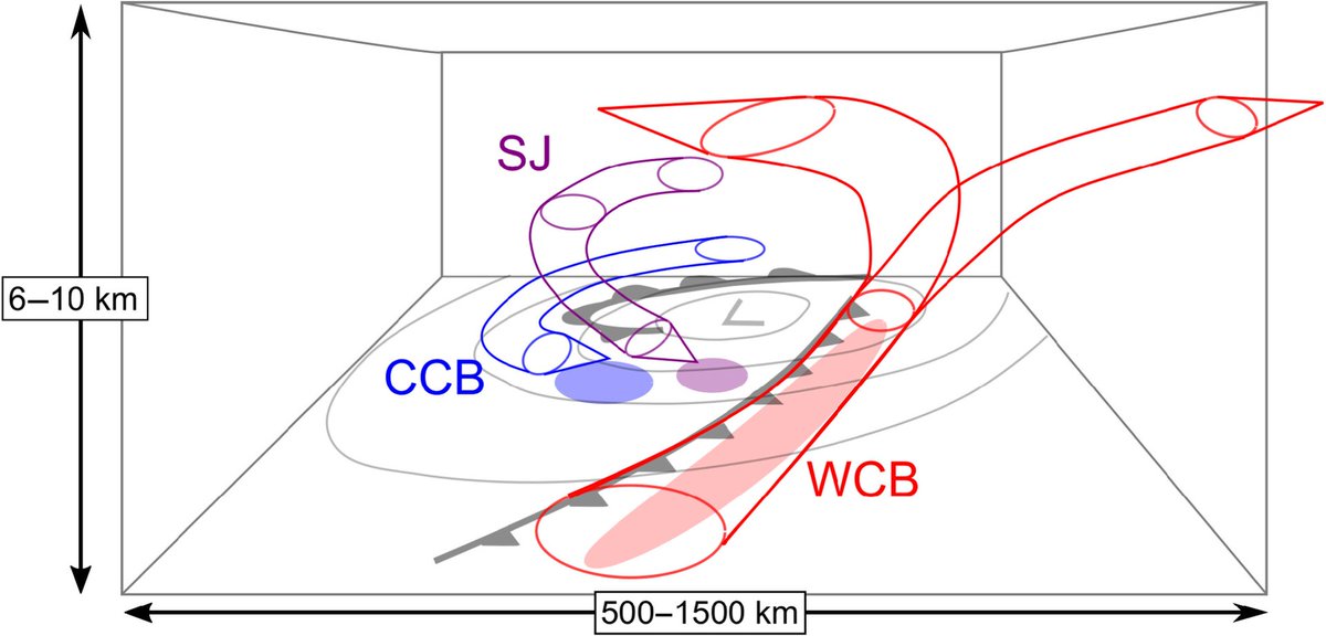 A sting jet may be responsible for the record winds in Ireland with #StormÉowyn. A sting jet is a short-lived &amp; narrow airstream that descends from the mid-troposphere. It forms with explosively developing extra-tropical storms &amp; follows a storm's highest rate of intensification.