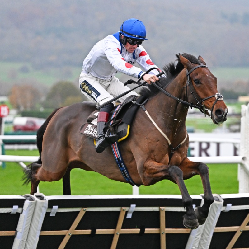 RacingTV's tweet photo. Your guide to the feature action on Festival Trials Day:

◼️ Unibet Hurdle preview
◼️ Cotswold Chase preview
◼️ Cleeve Hurdle preview
◼️ Sam Twiston-Davies on East India Dock &amp; Potters Charm