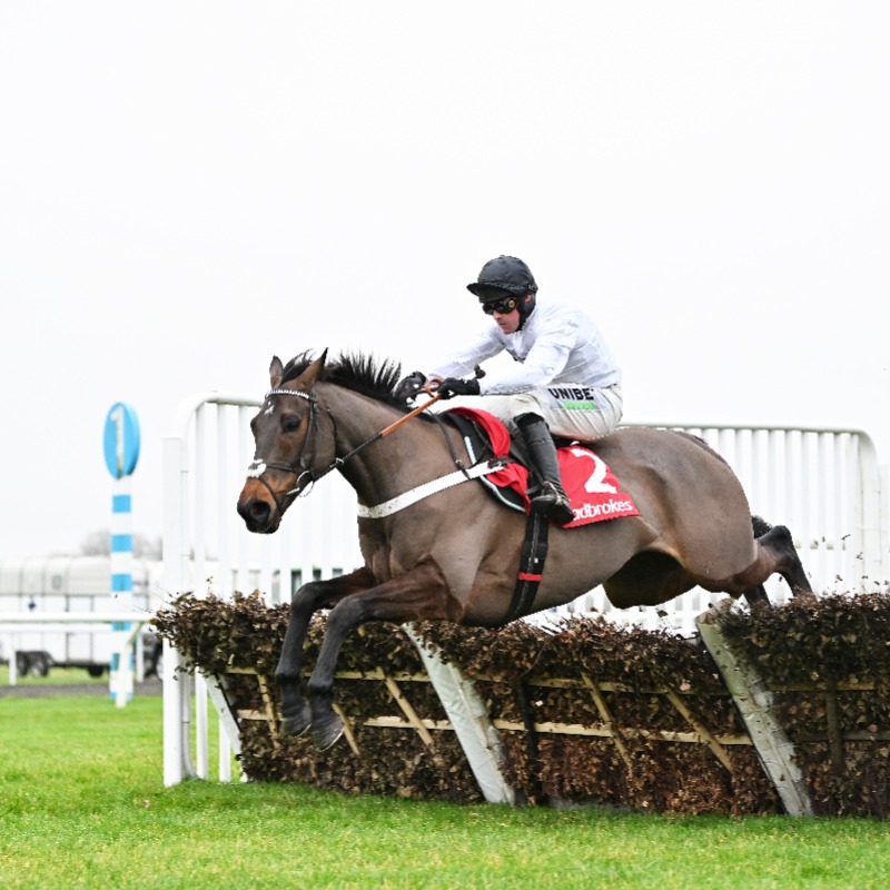 RacingTV's tweet photo. Your guide to the feature action on Festival Trials Day:

◼️ Unibet Hurdle preview
◼️ Cotswold Chase preview
◼️ Cleeve Hurdle preview
◼️ Sam Twiston-Davies on East India Dock &amp; Potters Charm