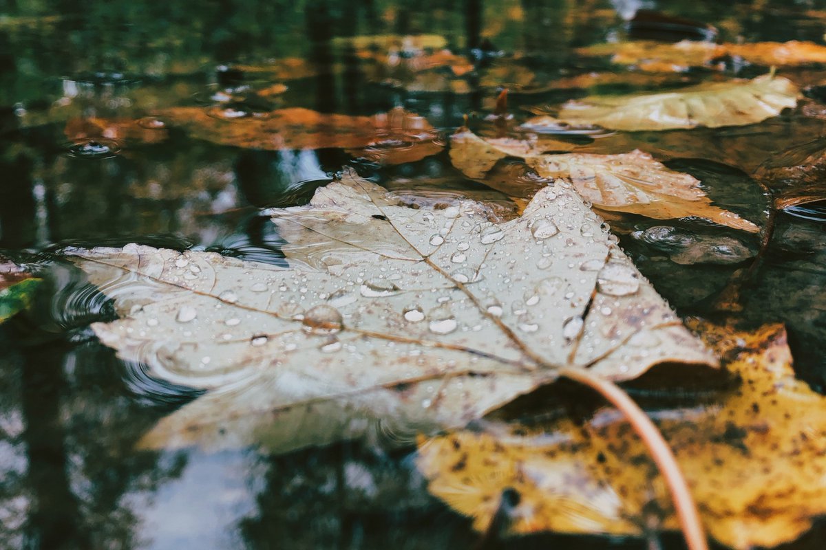 AES Solar tweet media