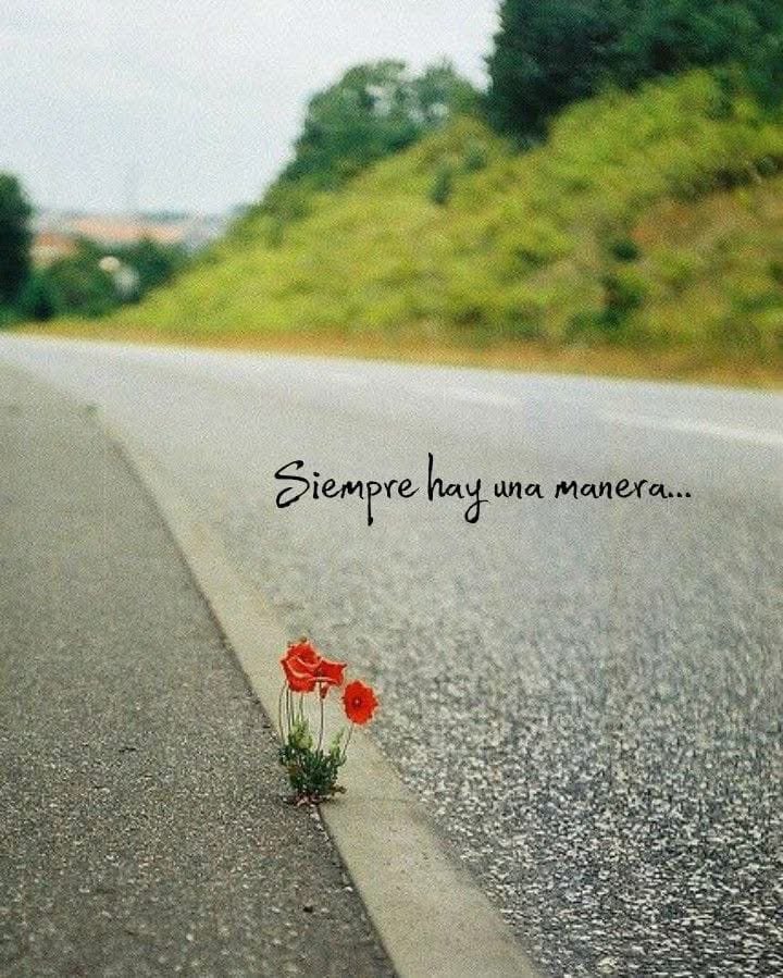 Siempre…❤️