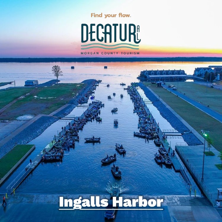 SportsPlanGuide's tweet image. Decatur, AL, is your next sports stop. This Tennessee River gem has it all—top venues, scenic beauty &amp;amp; Southern hospitality. Ready to plan? @VisitDecaturAL can help!

👉 sportsplanningguide.com/decatur-al-spo…

#VisitDecaturAL #DecaturWhereItsGreater #SportsTourism #EventPlanning #GreatOutdoors