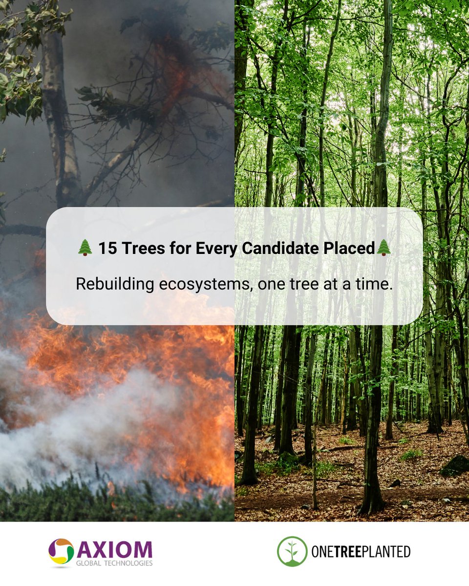 Axiom_Global's tweet photo. At #AxiomGlobalTechnologies, every hire fuels a greener planet🌱

In Q4 2024, we proudly supported @onetreeplanted's Forest Fire Fund, planting 15 trees for every candidate placed.

Together, we’re rebuilding ecosystems &amp; creating a brighter future!🌳

#Sustainability #HireGreen https://t.co/qVmbf5RGnq