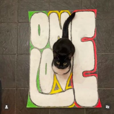 EverythingZEZE🌺🌼🌸 tweet media