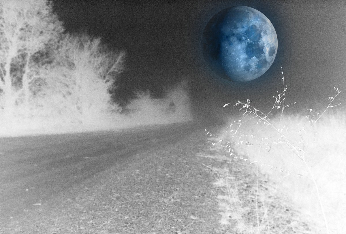 FabulistTales's tweet photo. New flash fiction! Let’s get lost in this moody, evocative tale of the American night, and everything that disappears into it. OUT YONDER, BY SAMUEL WOOD. 

https://t.co/RboiYjbGPI 

#iowa
#weirdtale
#missingpersons
#UFOs
#countryroads
#smalltownamerica https://t.co/pzPtEwbNDz