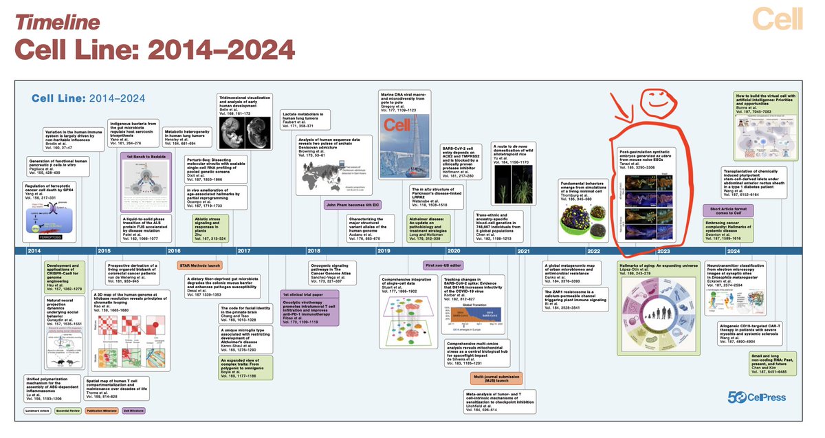 jacob_hanna's tweet photo. Kind of fun to see that Cell editors chose our 2022 paper on Mouse Synthetic Embryo Models by @Shadi_Tarazi @AlejandroAgCa @Carinejoubran  among highlighted landmark studies they published in the last decade (Cell line 2014-2024). https://t.co/8NWhDxA8ju