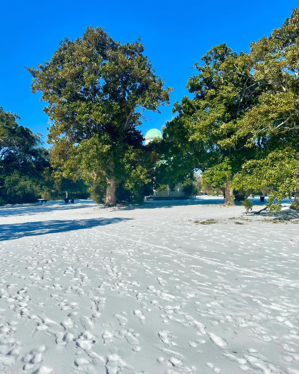 Wil_York_'s tweet photo. Snow in Charleston?
When the city goes white for a day, everything feels a little slower. The streets are quiet, the air’s a little crisper, and suddenly, we’re all kids again, catching snowflakes on our tongues. https://t.co/zBAAuHVoLx