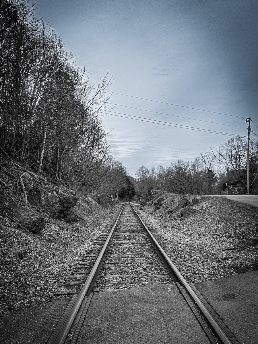 joannpip's tweet image. “You know you’re on the right track when you’re not interested in looking back.”🍃
- unknown