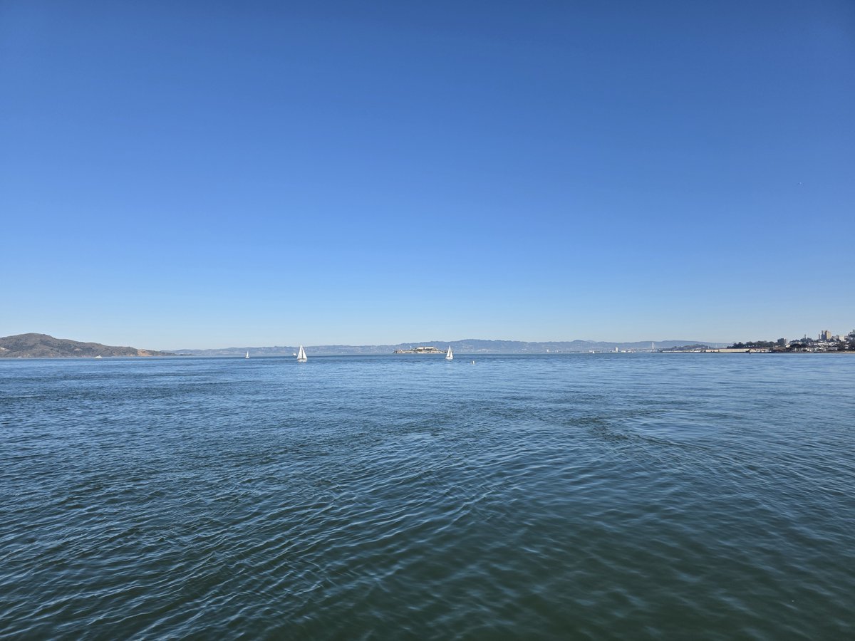 Kristaps Skutelis tweet media