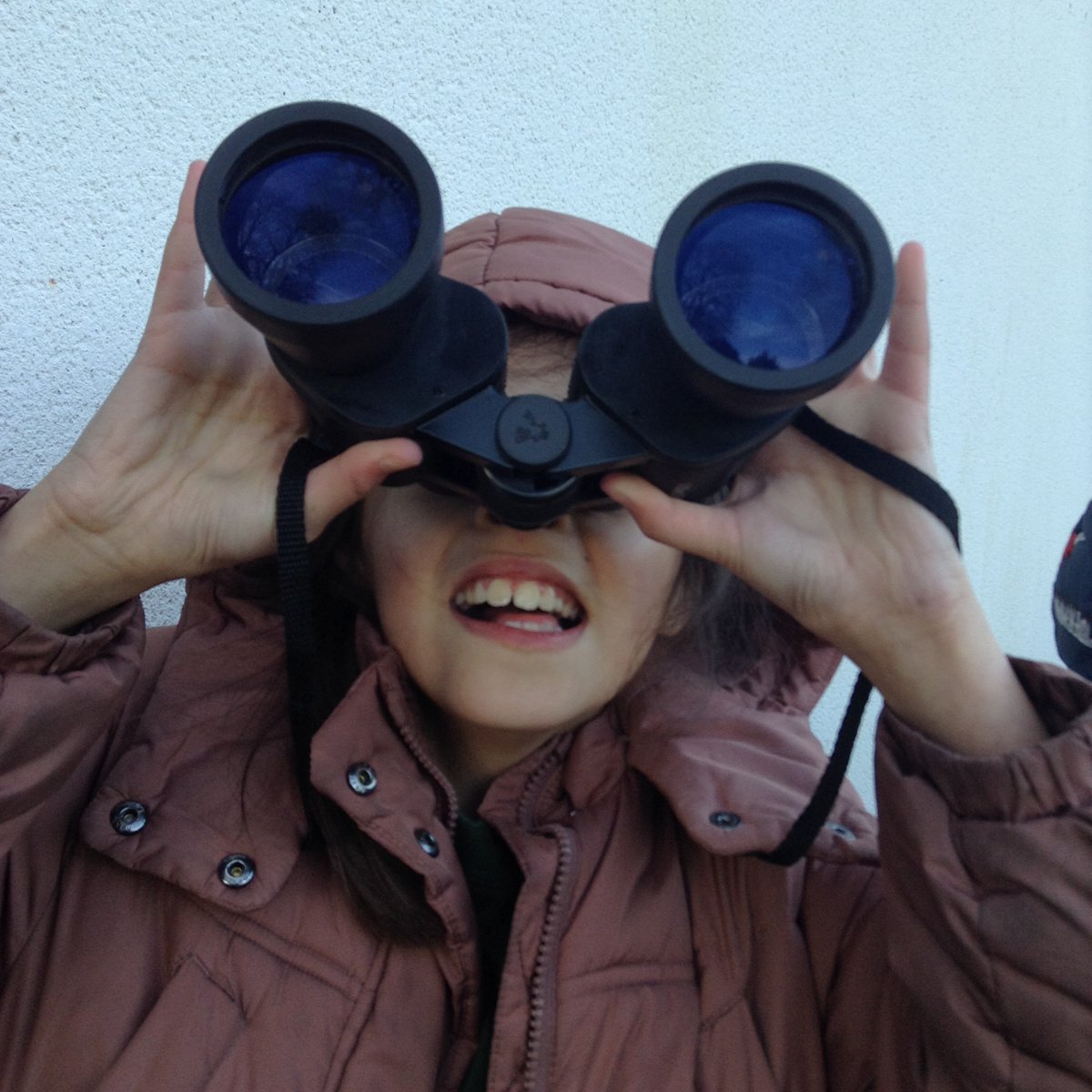 Minster C.E. Primary School Warminster tweet media