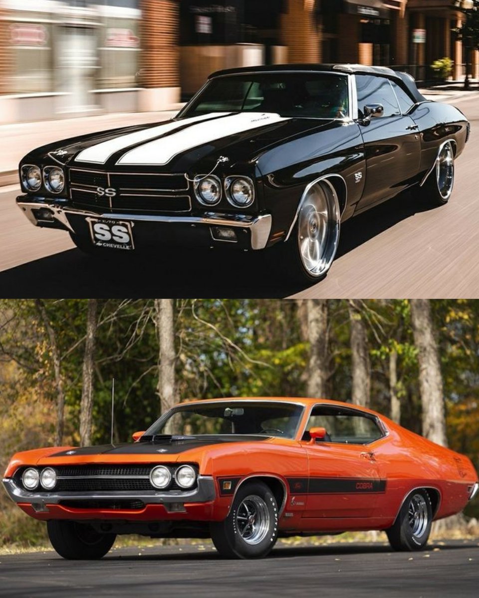 Top or Bottom 🤔
