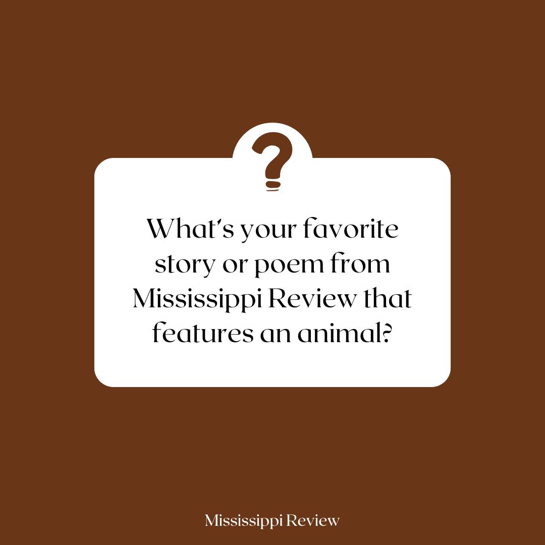 Mississippi Review tweet media