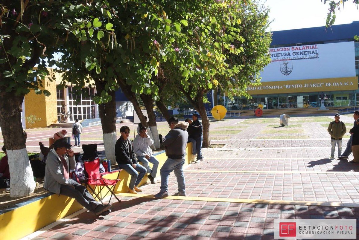 Diario Marca Oaxaca tweet media