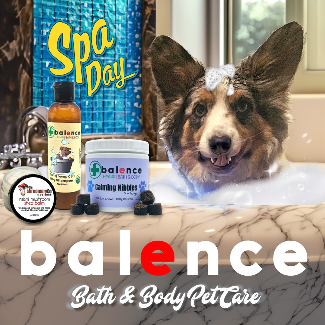 zerocool_02002's tweet photo. Calm with Balence Calming Nibbles, cleanse with Balence Dog Shampoo, and finish with Shroomery Paw &amp; Nose Cream for silky smooth paws! 🐶💖

Treat your pup to the care they deserve! 🐕💦
https://t.co/i41hnGroew 
#BalencePetCare #DogSpaDay #PamperedPup #HealthyHappyDog https://t.co/i57QF6MG6Z