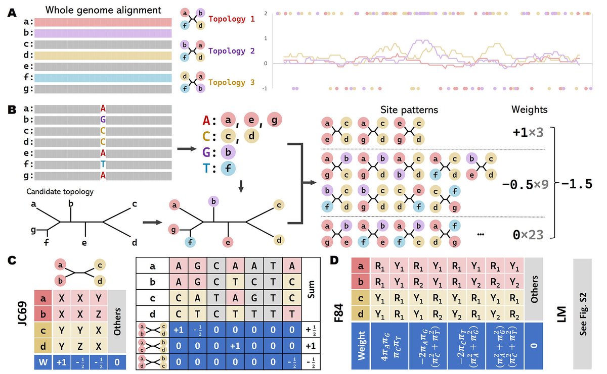 antisense. tweet media