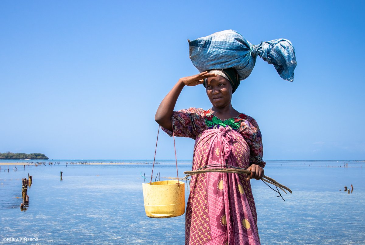 WCS (@thewcs) on Twitter photo Shared governance increases marine protected area effectiveness, says a new paper co-authored by WCS’s <a href="/emilysdarling/">Dr Emily Darling</a>. When government and nongovernment groups work together, MPAs are 98% more likely to net better conservation outcomes.
Part of why we support communities Shared governance increases marine protected area effectiveness, says a new paper co-authored by WCS’s <a href="/emilysdarling/">Dr Emily Darling</a>. When government and nongovernment groups work together, MPAs are 98% more likely to net better conservation outcomes.
Part of why we support communities