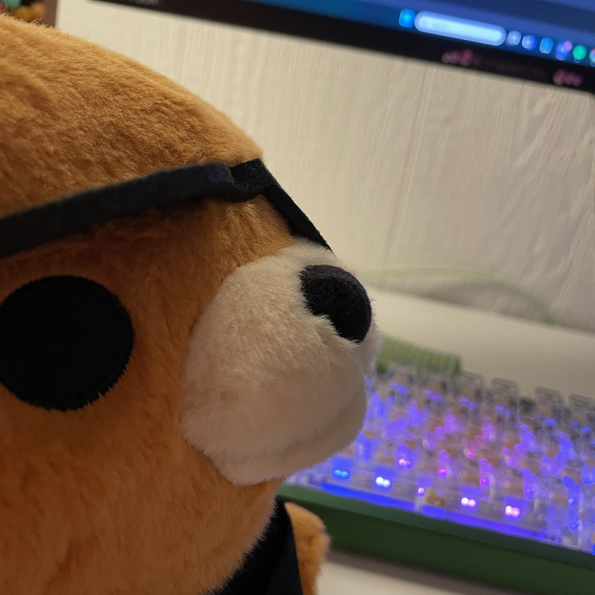 AnnaM0ller's tweet photo. long time no see? yes… BUT!

starting my valorant season of with VCT Game Changers Kickoff - The Open Qualifier🧡 

woohoo, glhf🫶 https://t.co/aU10SuxQkW